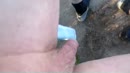 galderse meren, film 00:00:29, 6 reacties, 7 stemmen