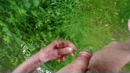 galderse meren, film 00:00:00, 2 reacties, 8 stemmen