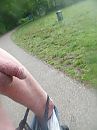 galderse meren, foto 3000x4000, 2 reacties, 5 stemmen