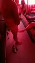 gangbang, film 00:00:07, 11 reacties, 126 stemmen