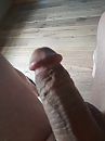 geil, foto 480x640, 4 reacties, 7 stemmen