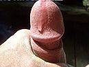 geil, foto 640x480, 4 reacties, 8 stemmen