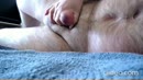Gratis porno films