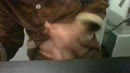 genieten volop, film 00:00:12, 2 reacties, 3 stemmen