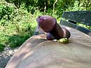 ..genieten in park.., foto 4000x3000, 1 reacties, 2 stemmen