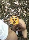 getting a BJ, foto 1125x1491, 15 reacties, 38 stemmen