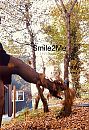 gewoon even zin in, foto 1509x2191, 35 reacties, 86 stemmen