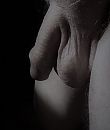 goeie morgen, foto 412x486, 14 reacties, 10 stemmen