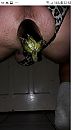 groente is gezond, foto 720x1280, 1 reacties, 2 stemmen