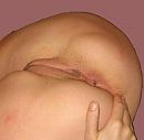 'coco de Maestricht' ..., foto 456x448, 14 reacties, 40 stemmen