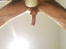 harde pik, foto 4000x3000, 1 reacties, 3 stemmen