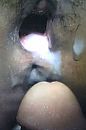 harry laat z'n sporen na, foto 2666x4000, 4 reacties, 21 stemmen