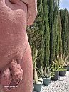 heerlijk weer, foto 2448x3264, 3 reacties, 9 stemmen