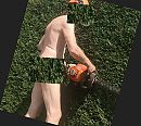 heg gedaan, foto 923x827, 2 reacties, 3 stemmen