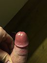 het ginger kopje, foto 3000x4000, 5 reacties, 18 stemmen