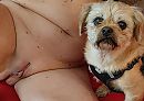 het hondje en het poesje, foto 4000x2854, 30 reacties, 68 stemmen
