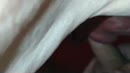 hier wordt ik lekker gepijpt, film 00:00:13, 4 reacties, 30 stemmen