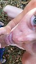hmm lekker buiten, foto 484x847, 3 reacties, 15 stemmen