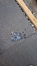 hmmmm, foto 2250x4000, 1 reacties, 4 stemmen