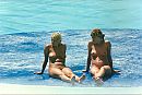 hollidays, foto 1179x797, 0 reacties, 2 stemmen