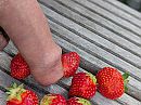 hou je van aardbeien, foto 4000x3011, 6 reacties, 10 stemmen