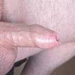 iemand die wil, foto 106x106, 0 reacties, 4 stemmen