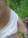 in gulponderbroek, foto 3000x4000, 2 reacties, 4 stemmen