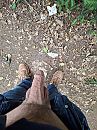 in het bos, foto 3000x4000, 0 reacties, 4 stemmen