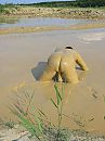 in modder gevallen, foto 900x1200, 5 reacties, 14 stemmen