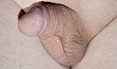 is het niet schattig ?, foto 3360x2002, 1 reacties, 2 stemmen