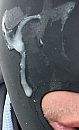 juni 2025, foto 978x1604, 0 reacties, 2 stemmen