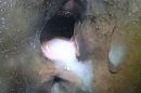 kijk , harry loopt uit me ..., foto 4000x2666, 1 reacties, 11 stemmen