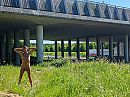 langs de snelweg, foto 2560x1920, 1 reacties, 5 stemmen