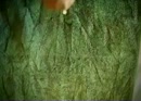 leeren, film 00:00:00, 1 reacties, 5 stemmen