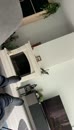lekker rukken3, film 00:00:00, 18 reacties, 40 stemmen