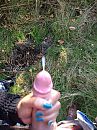 lekker buiten spelen?, foto 480x640, 8 reacties, 14 stemmen