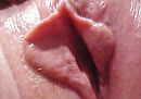 lekker kutje, foto 811x573, 18 reacties, 44 stemmen