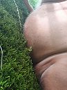 lekker, foto 2556x3408, 4 reacties, 6 stemmen
