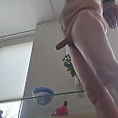 lekkere paal, foto 2544x2544, 1 reacties, 7 stemmen