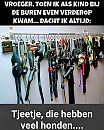 lol, foto 720x892, 1 reacties, 9 stemmen