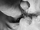 love cum, foto 1141x864, 1 reacties, 11 stemmen