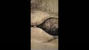 masseren en friemelen...., film 00:00:00, 2 reacties, 6 stemmen