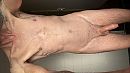 me naakt, foto 4000x2250, 12 reacties, 29 stemmen