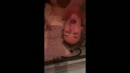 meine 2 geilen Ficker, film 00:00:00, 4 reacties, 48 stemmen