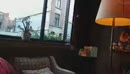met de gordijnen open heerlijk, film 00:00:00, 0 reacties, 3 stemmen