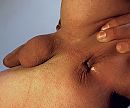 mmm, foto 3272x2736, 3 reacties, 8 stemmen