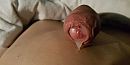 mmm, foto 550x279, 8 reacties, 18 stemmen