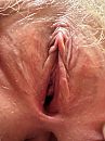 mn zaadkut, foto 480x640, 17 reacties, 54 stemmen