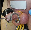 mooi afgebonden, electro en, foto 1480x1422, 5 reacties, 10 stemmen