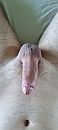 morning wood, foto 1801x4000, 3 reacties, 8 stemmen